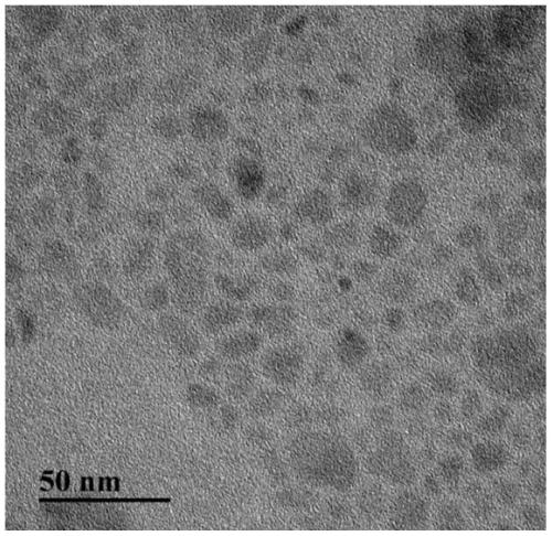 Near-infrared second region fluorescent nanoprobe based on black phosphorus as well as preparation and application of near-infrared second region fluorescent nanoprobe
