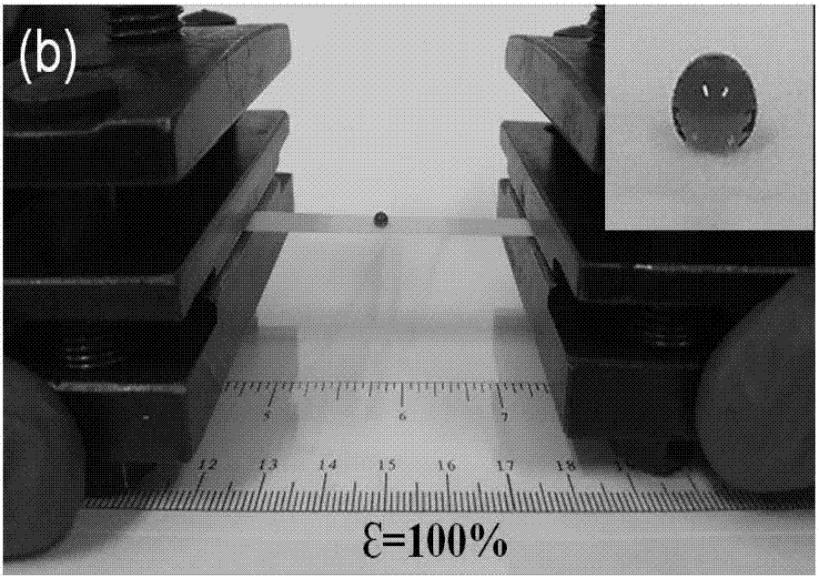 Preparation method of photocuring type superhydrophobic composite film