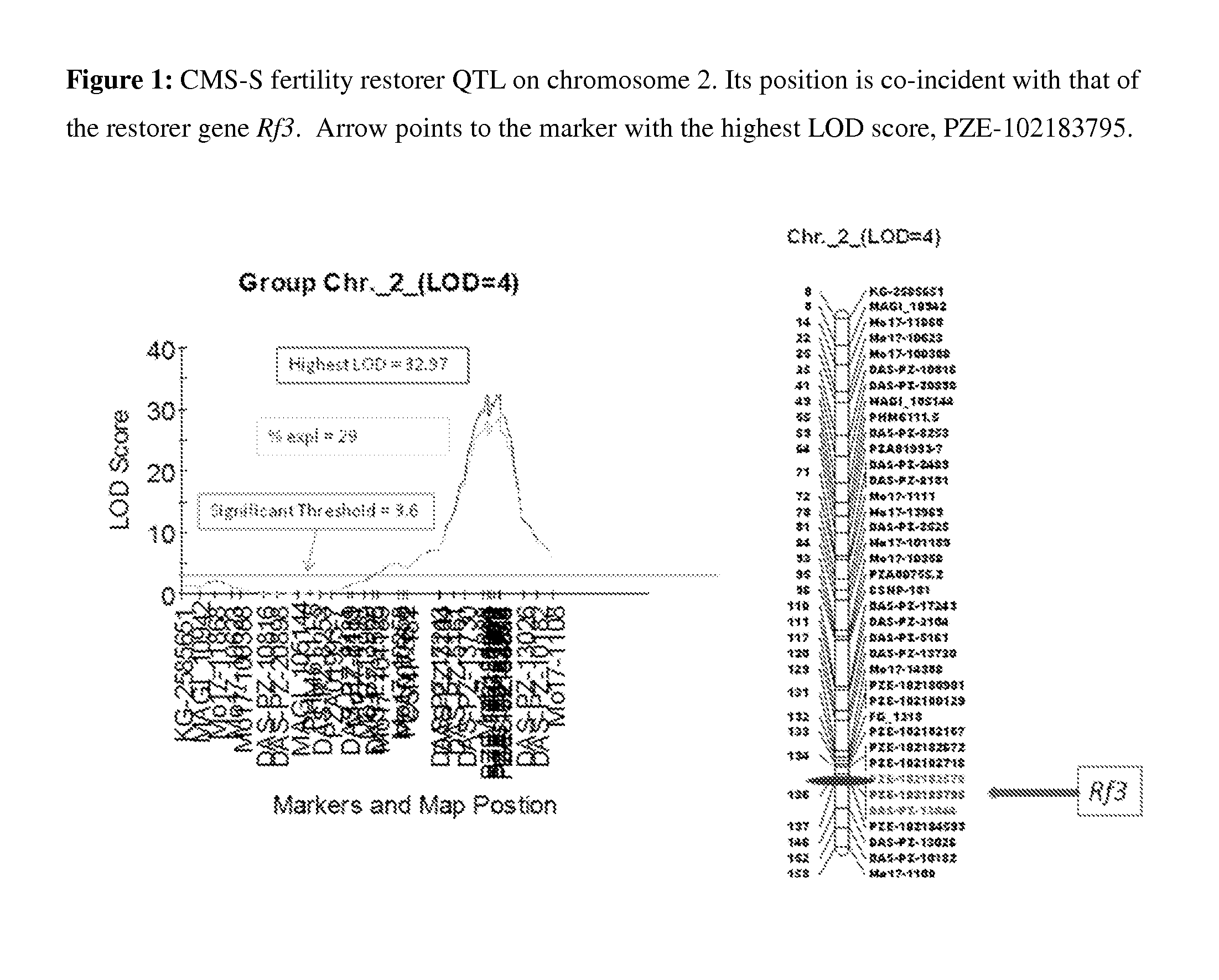 MAIZE CYTOPLASMIC MALE STERILITY (CMS) S-TYPE RESTORER Rf3 GENE, MOLECULAR MARKERS AND THEIR USE