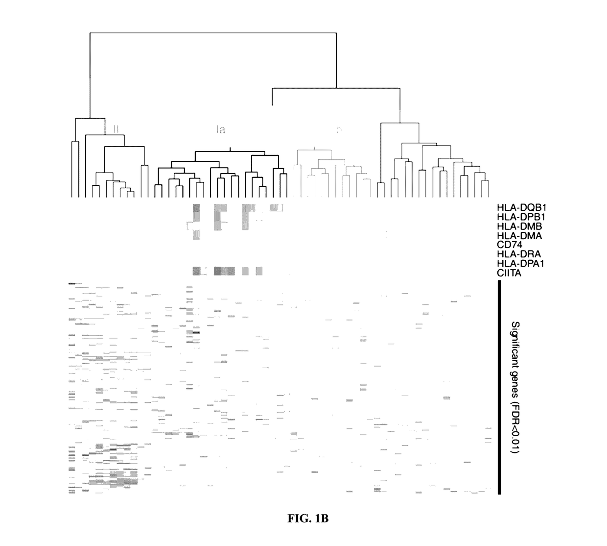 Methods and Systems for Predicting Response to Immunotherapies for Treatment of Cancer