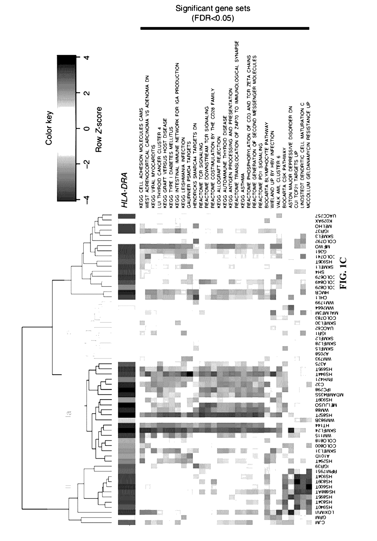 Methods and Systems for Predicting Response to Immunotherapies for Treatment of Cancer