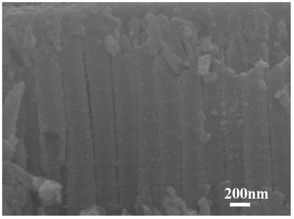Preparation method of composite light anode of titanium dioxide nanotube array with wide light intensity application scope