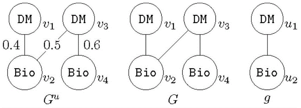 Frequent sub-graph mining and optimizing method for single uncertain graph