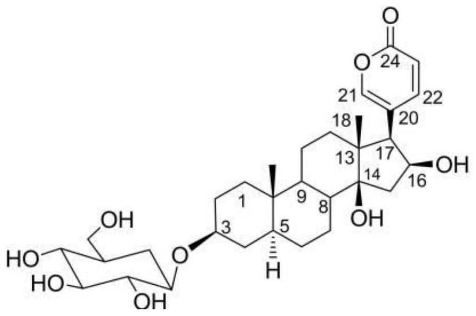 A novel cardiac glycoside monomer compound and its use in the preparation of antitumor drugs