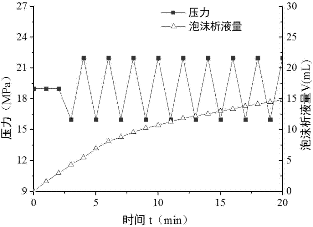 Foam stability test device under pressure fluctuation and working method thereof