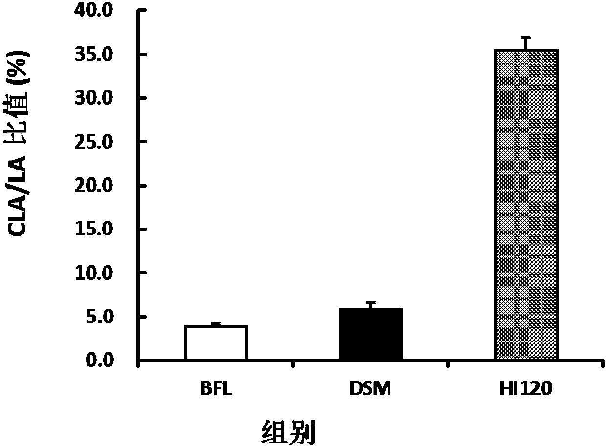 Lactobacillus reuteri HI120 of high-expression LAI (linoleic acid isomerase) and application of lactobacillus reuteri HI120