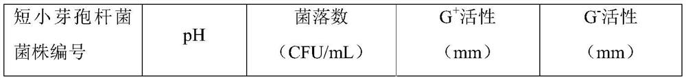 Strain of bacillus pumilus BP-09 tolerant to high-concentration tea residues and application of bacillus pumilus BP-09