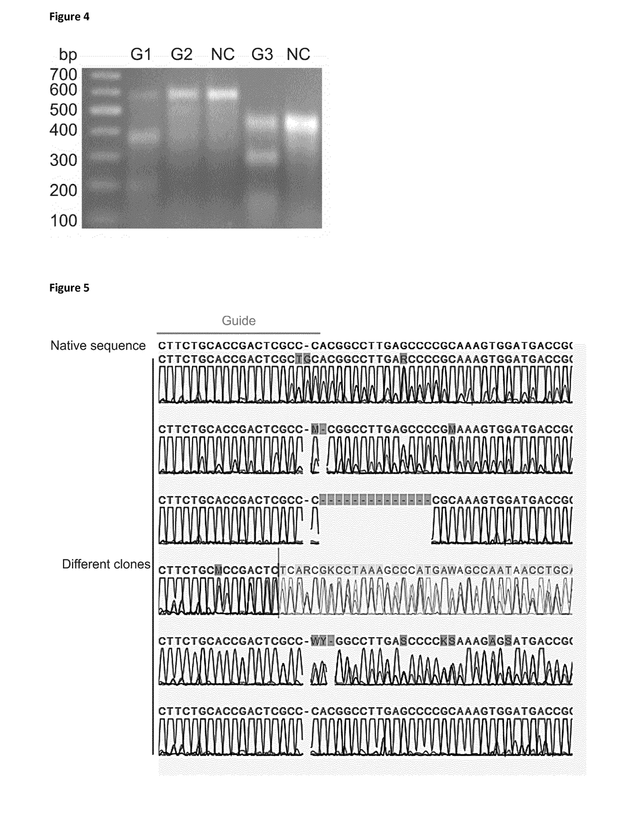 Cells producing glycoproteins having altered n- and o-glycosylation
patterns and methods and use thereof