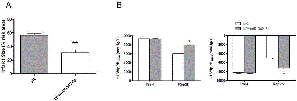 Application of miR-342-5p in preparation of drug for preventing and treating heart disease