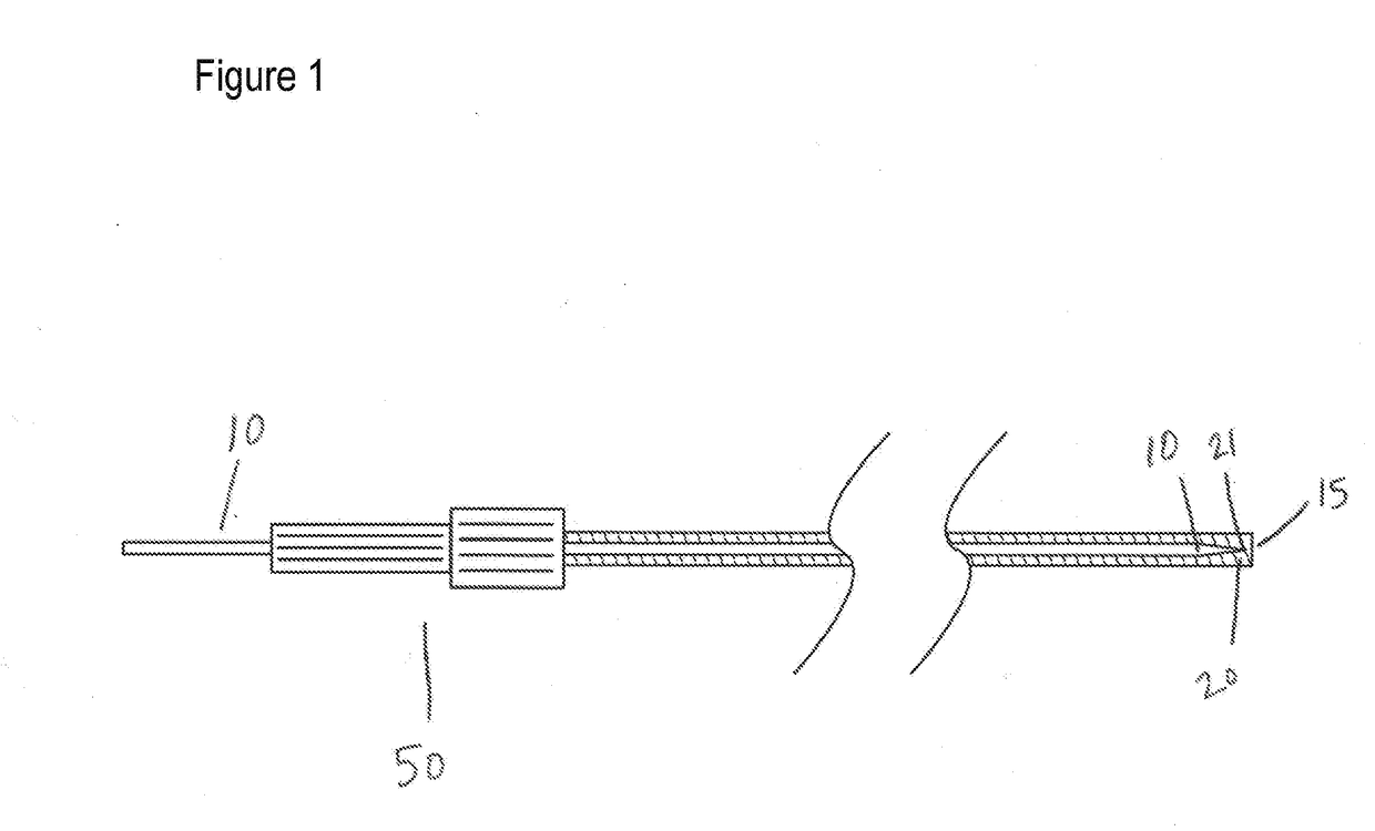 Percutaneous Gastrointestinal Access System and Method