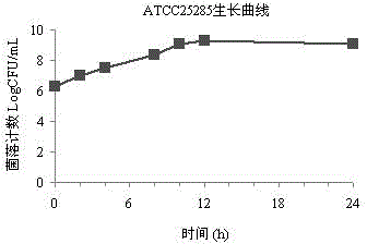 Culture system for static sterilization curve for anti-anaerobic agent and construction method of culture system