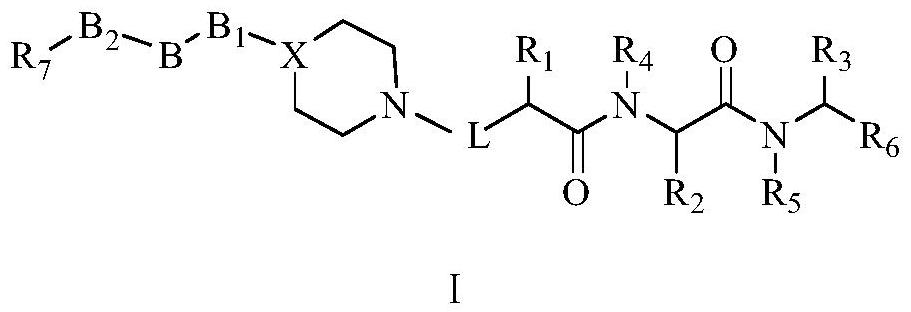 Dipeptide compound constructed from piperidine or piperazine, its preparation method and application