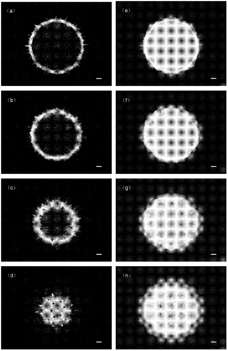 High-speed structure illumination optical microscope system and method based on digital micromirror device