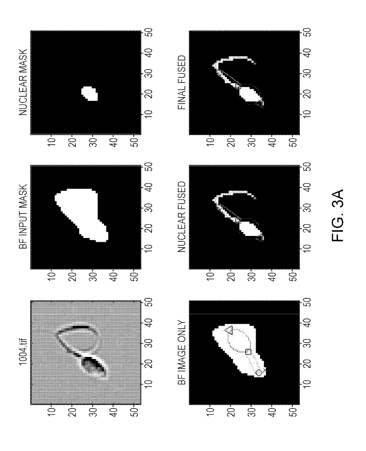 A Method To Combine Brightfield And Fluorescent Channels For Cell Image Segmentation And Morphological Analysis Using Images Obtained From Imaging Flow Cytometer (IFC)