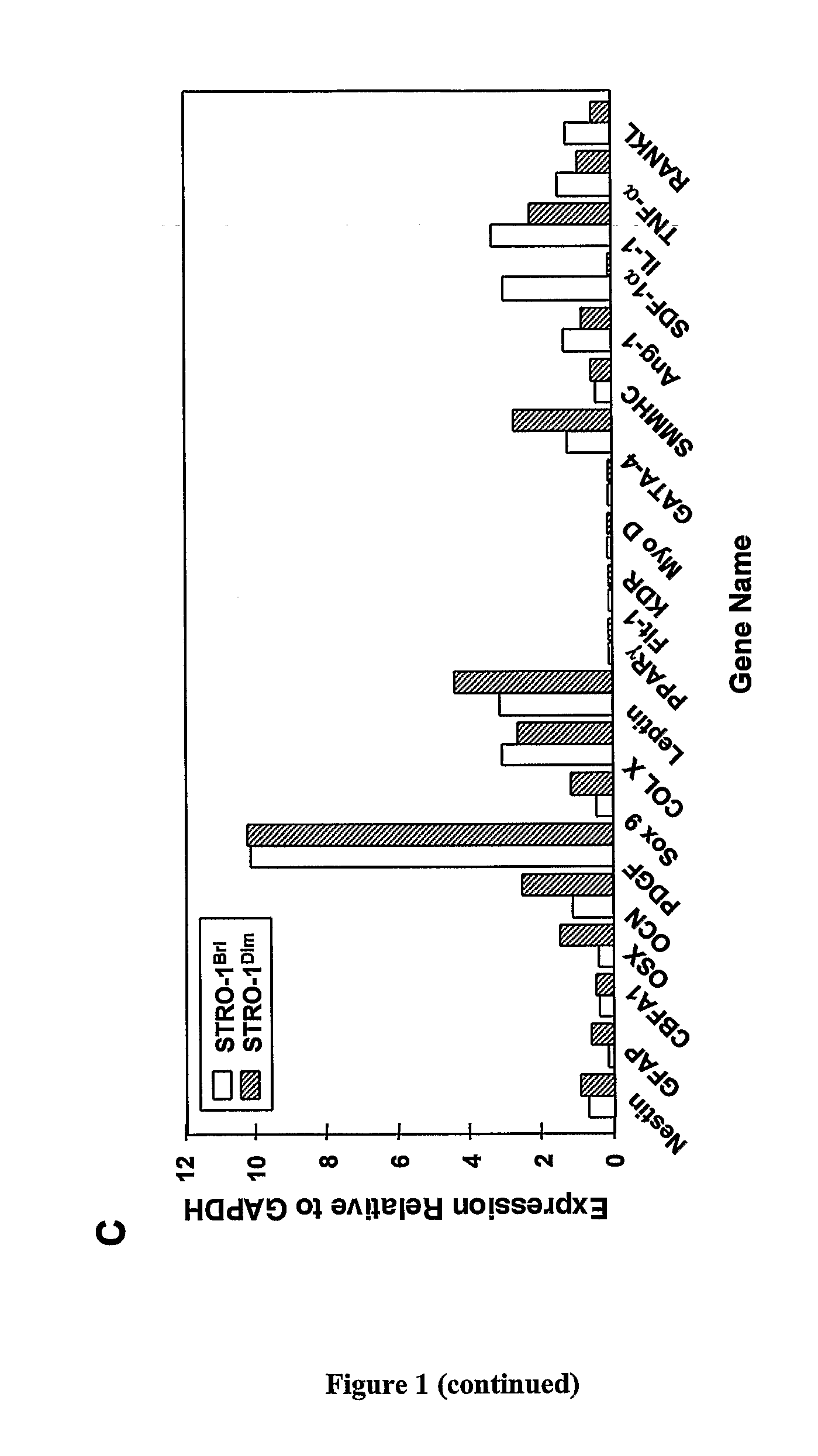 Multipotential Expanded Mesenchymal Precursor Cell Progeny (Memp) and Uses Thereof