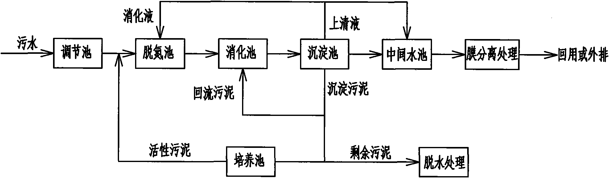 High ammonia nitrogen sewage processing method