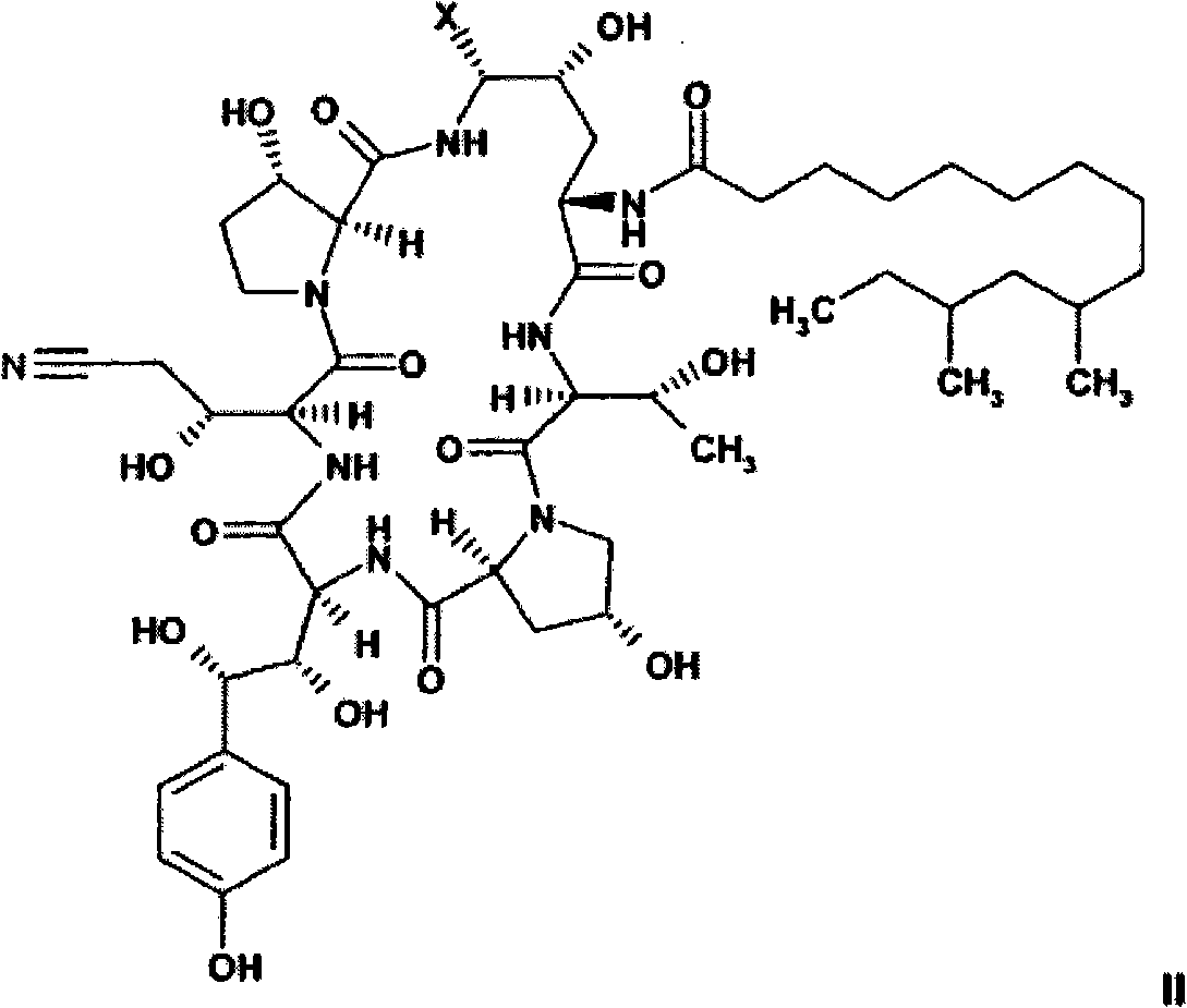 Process and intermediates for the synthesis of caspofungin