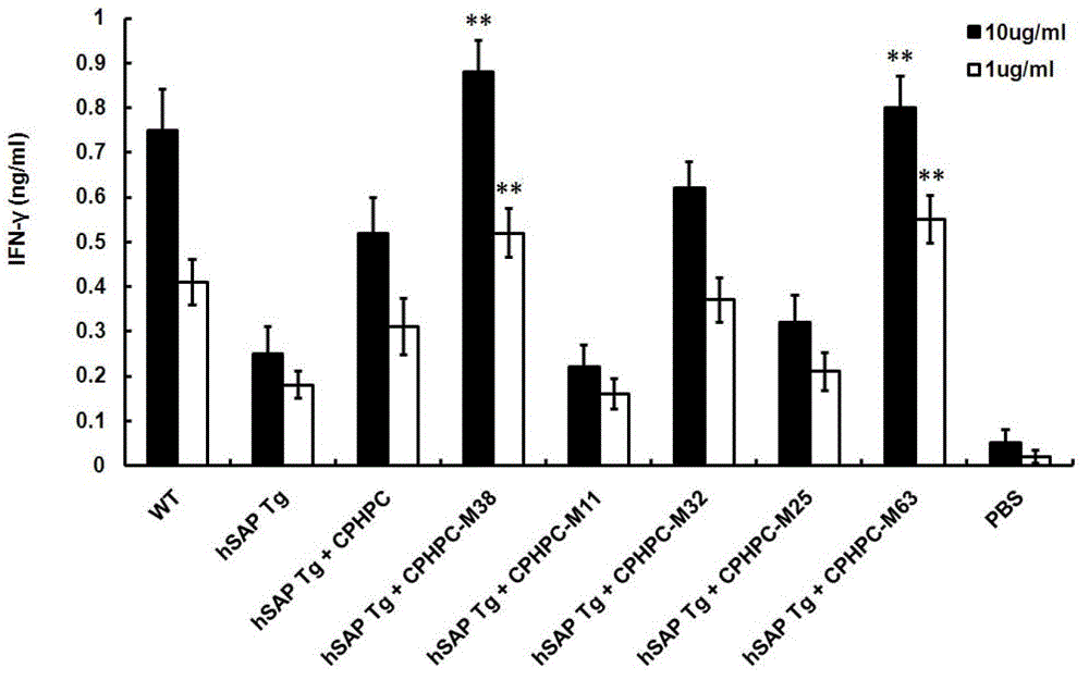 Adipamide D-hydroxyproline derivative and application thereof as nucleic acid vaccine adjuvant