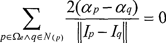 Interactive time-space accordant video matting method in digital video processing