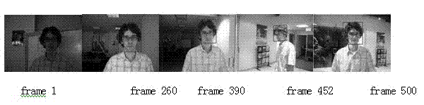 Particle filtering video image tracking method based on dual model