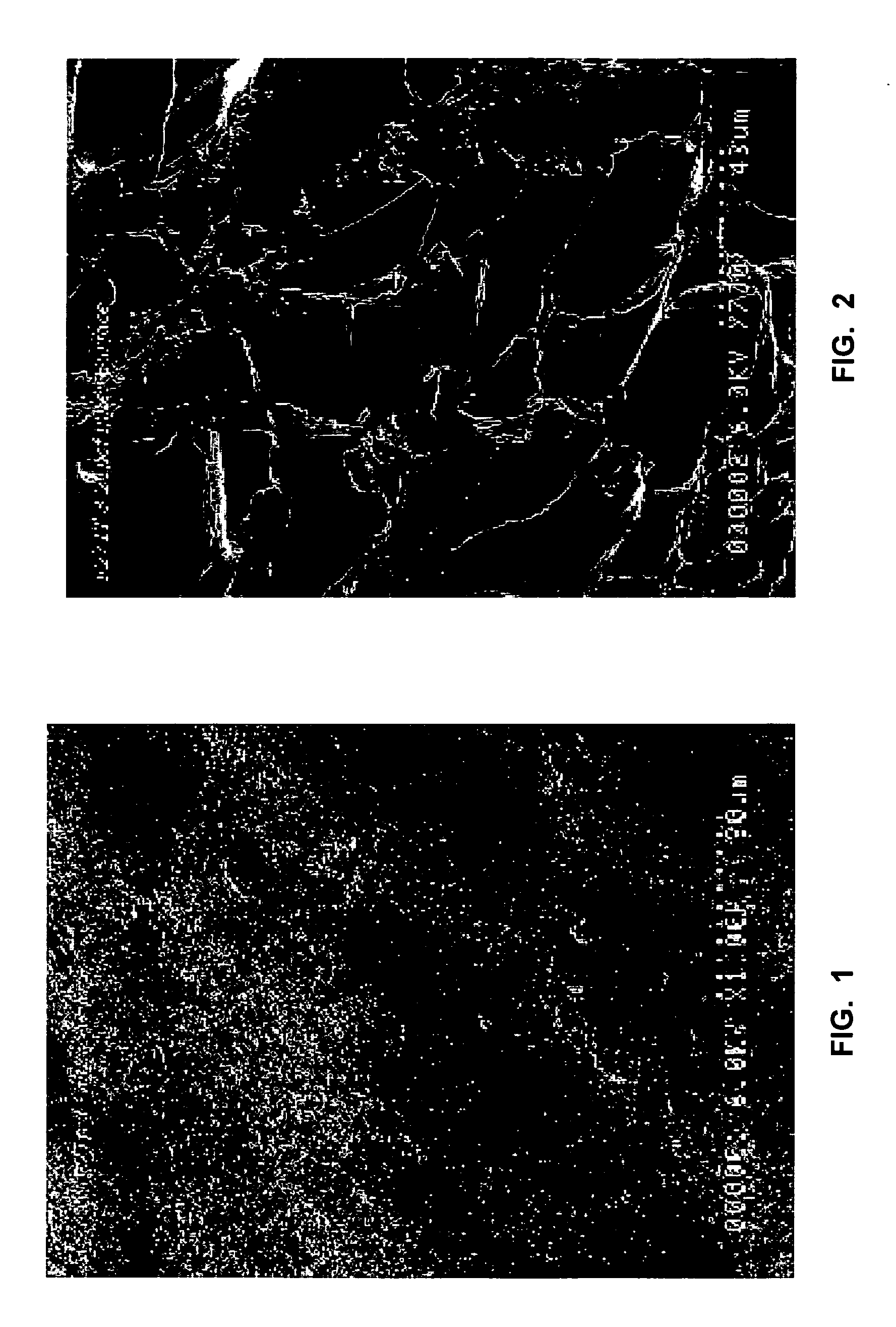 Lightweight concrete compositions containing antimicrobial agents