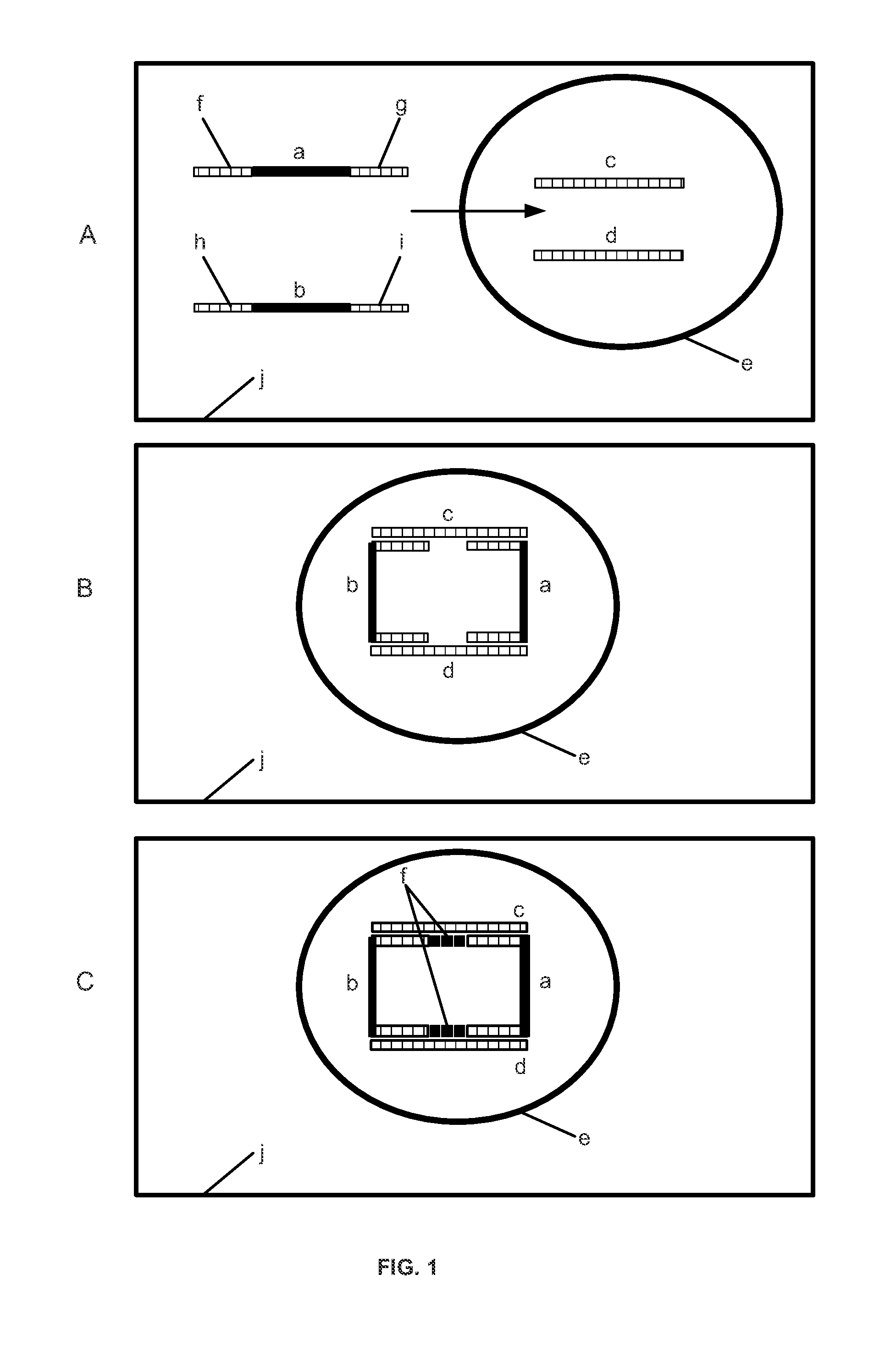 System and Methods for Genetic Analysis of Mixed Cell Populations