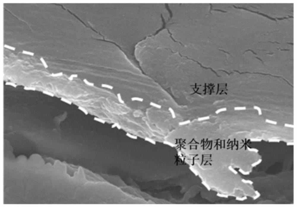 A seawater evaporation desalination membrane material, its preparation method and application