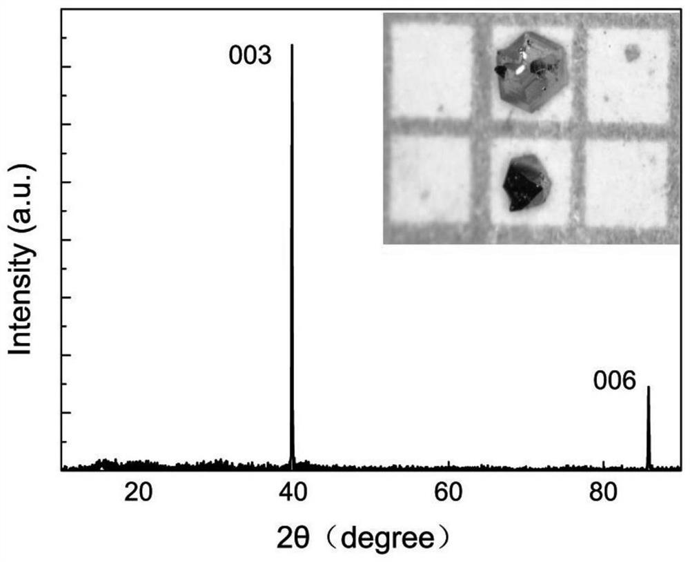 a nbge  <sub>2</sub> Single crystal and its preparation method and application