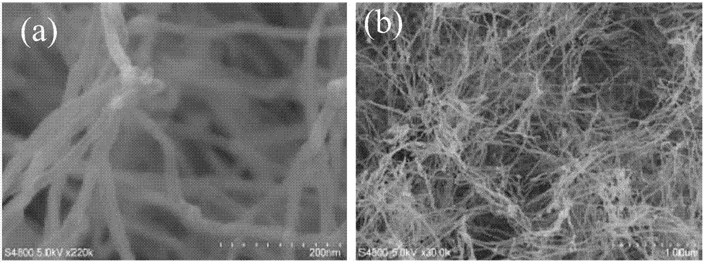 A kind of preparation method of large-area nitrogen-doped carbon nanotube paper