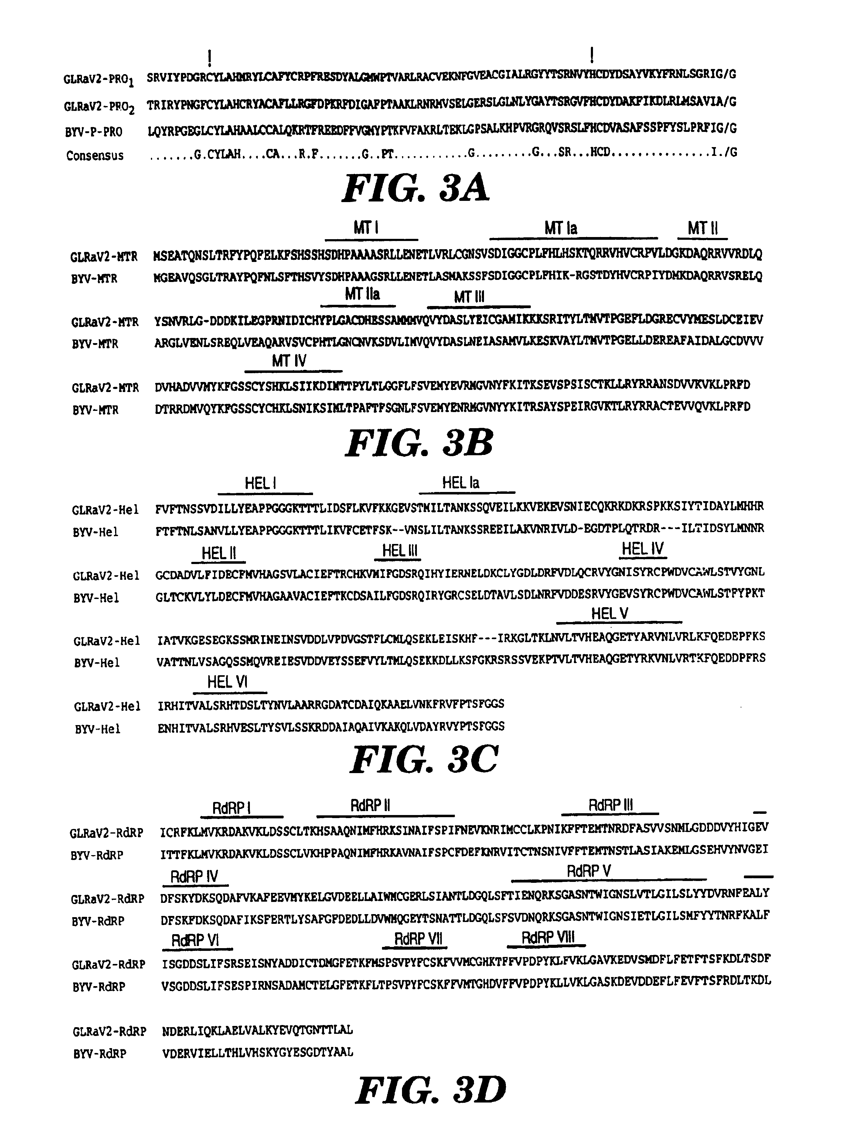 Grapevine leafroll virus (type 2) proteins and their uses