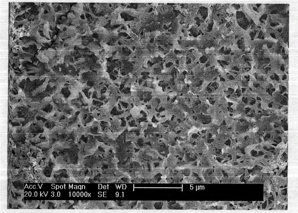 Silver-loaded antibacterial artificial joint and preparation method thereof