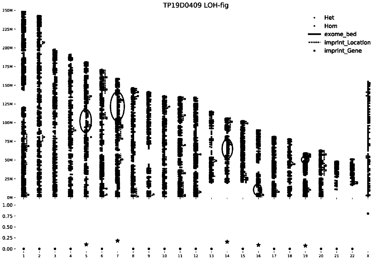 Screening device of pathogenic uniparental disomy, storage medium and processor