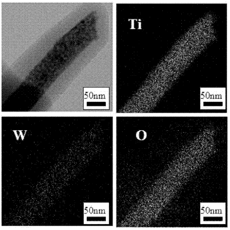Method for preparing titanium-tungsten compound oxide nano-fiber