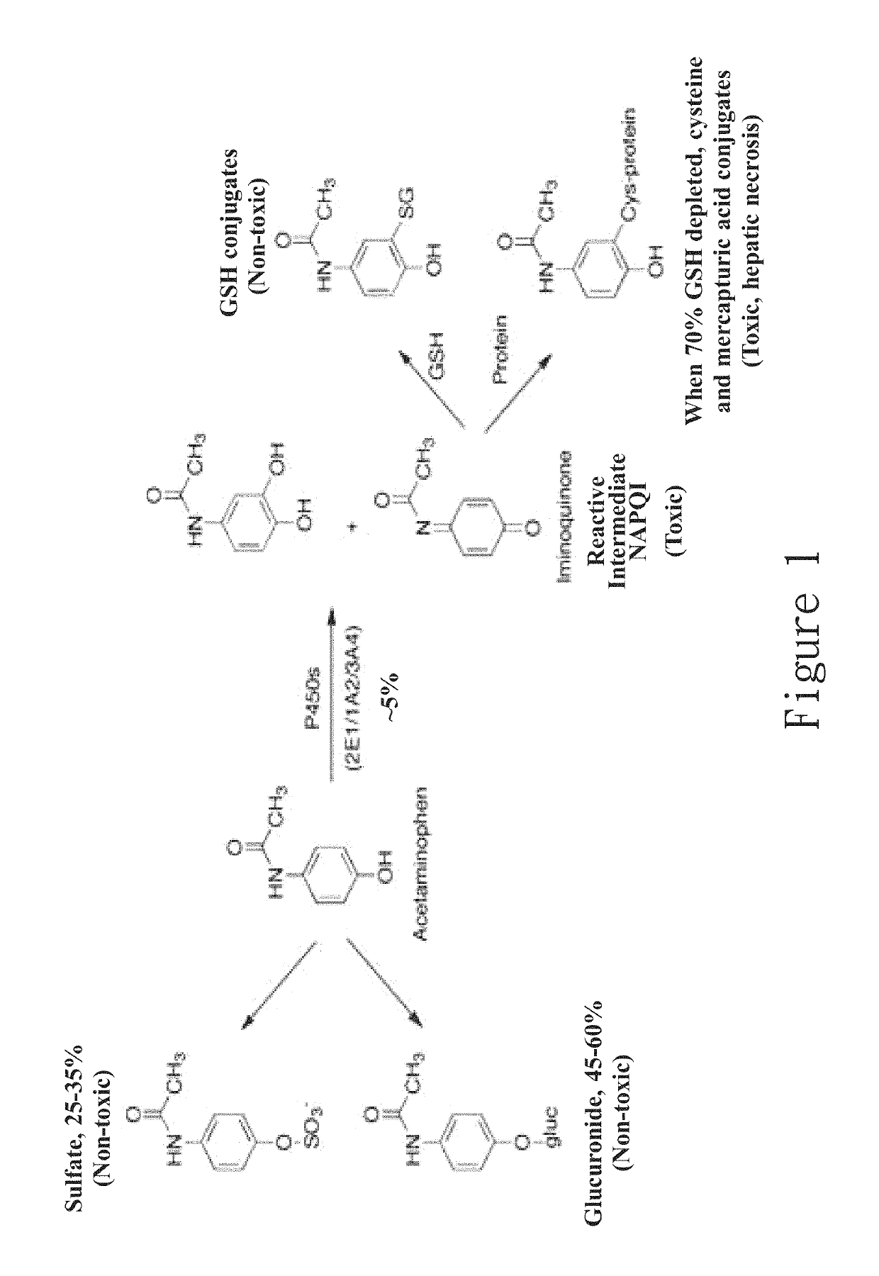 Hepatotoxicity-free pharmaceutical composition containing acetaminophen drugs