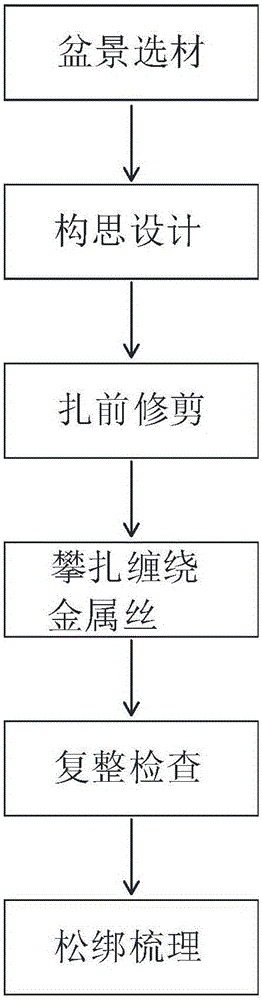 Method for manufacturing Shanghai style tree bonsai