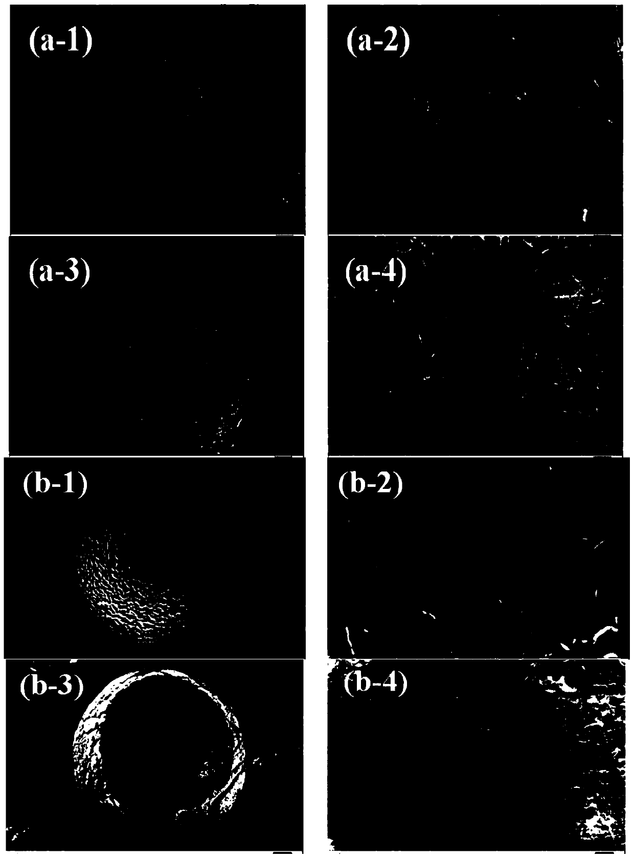 Calcium sulfate-containing polyetheretherketone particulate bone filling material and preparation method thereof