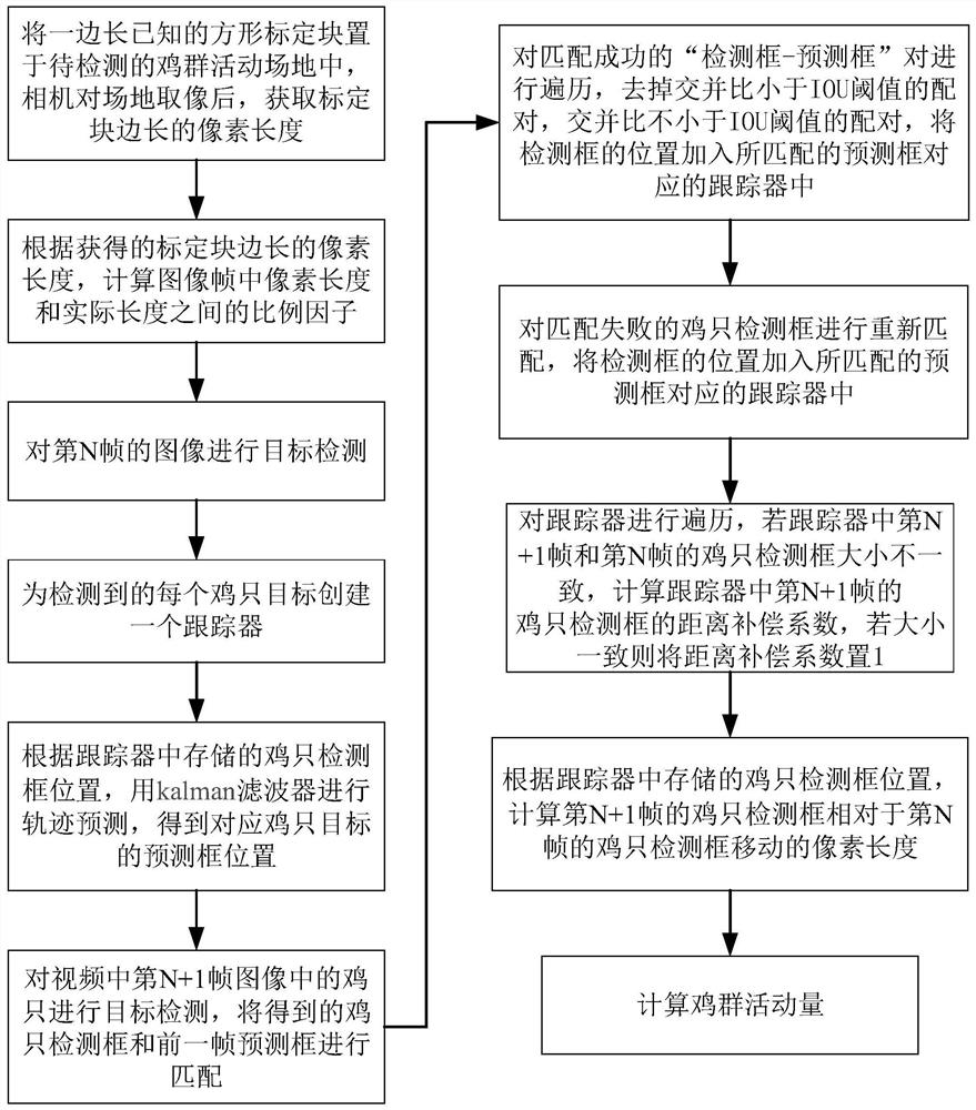 Chicken flock activity amount real-time estimation method and chicken flock activity amount real-time estimation system based on multi-target tracking