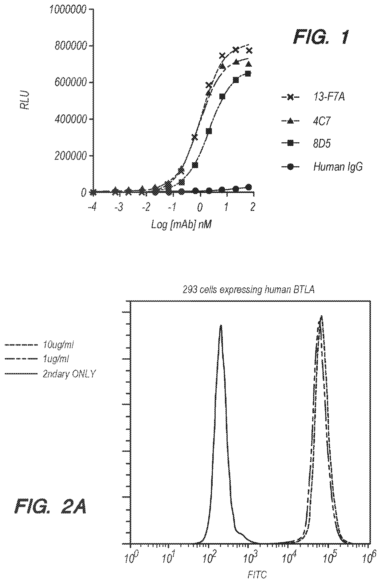 BTLA-binding antibodies for modulating immune response and treating disease