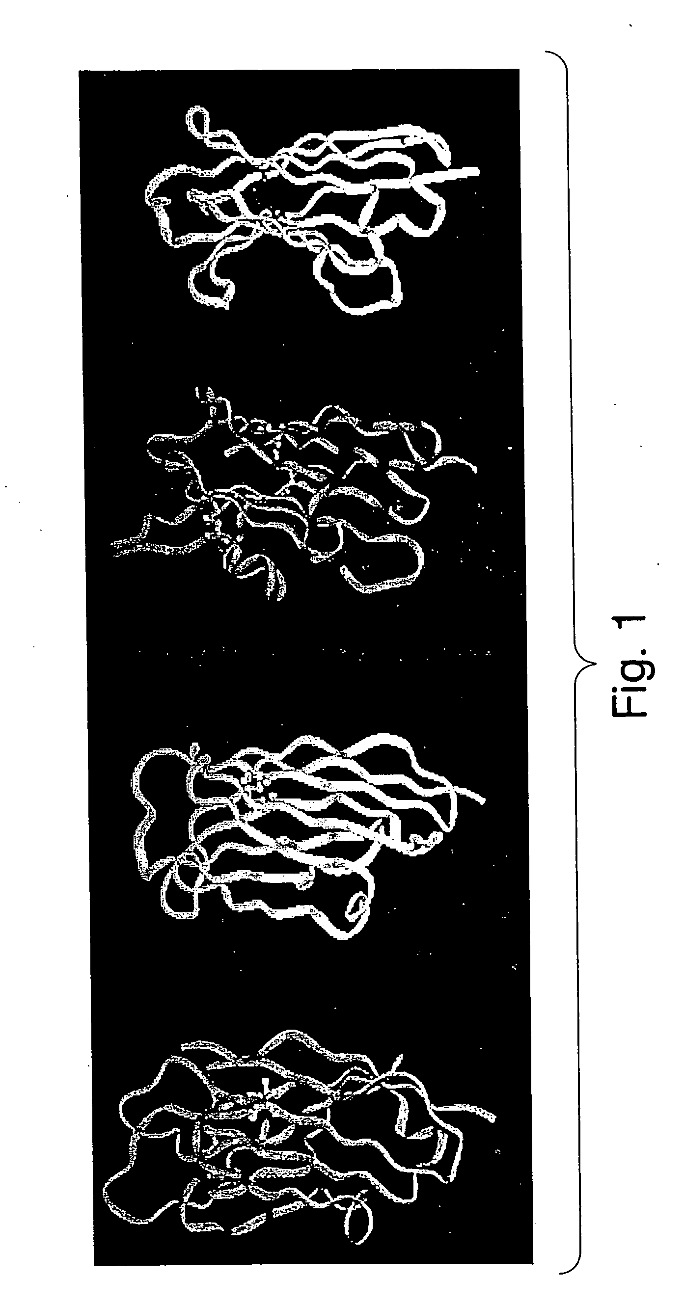 Pharmaceutically acceptable FN3 polypeptides for human treatments
