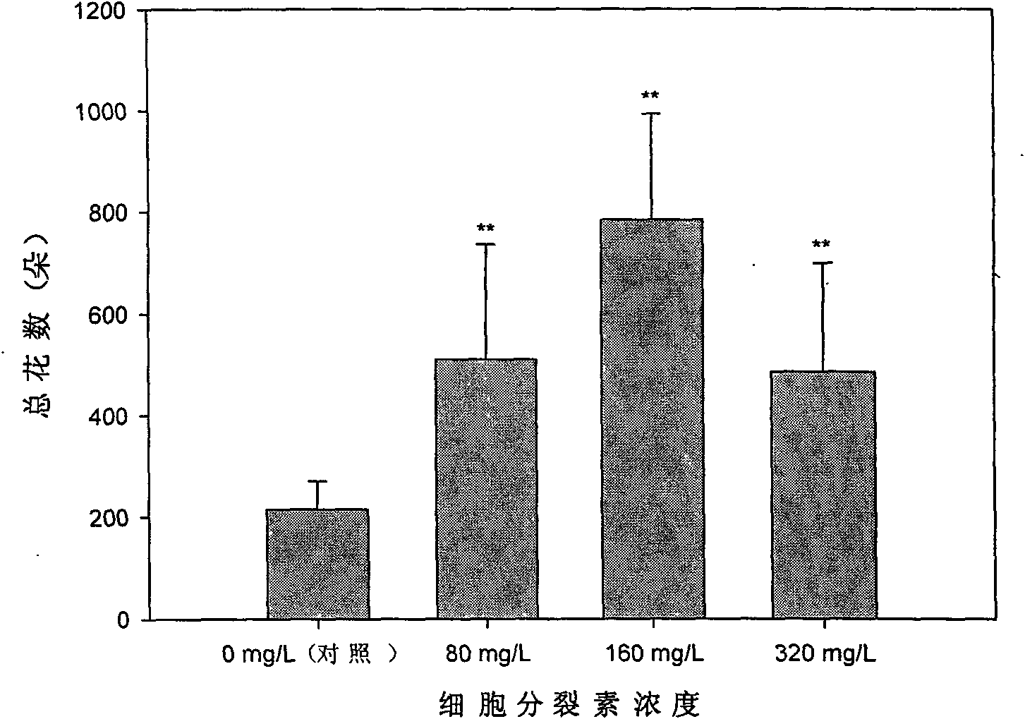 Special growth regulating agent for jatropha and application thereof