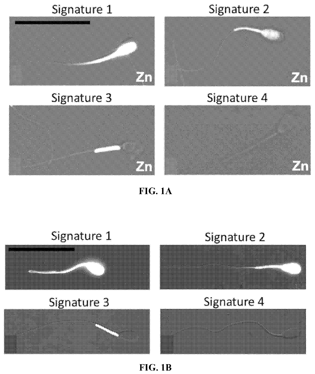 Sperm fertility capacity test and sperm decapacitating supplement