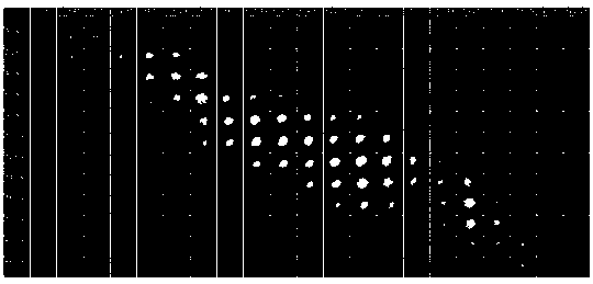 Four-dimensional ultra-fast photographing device