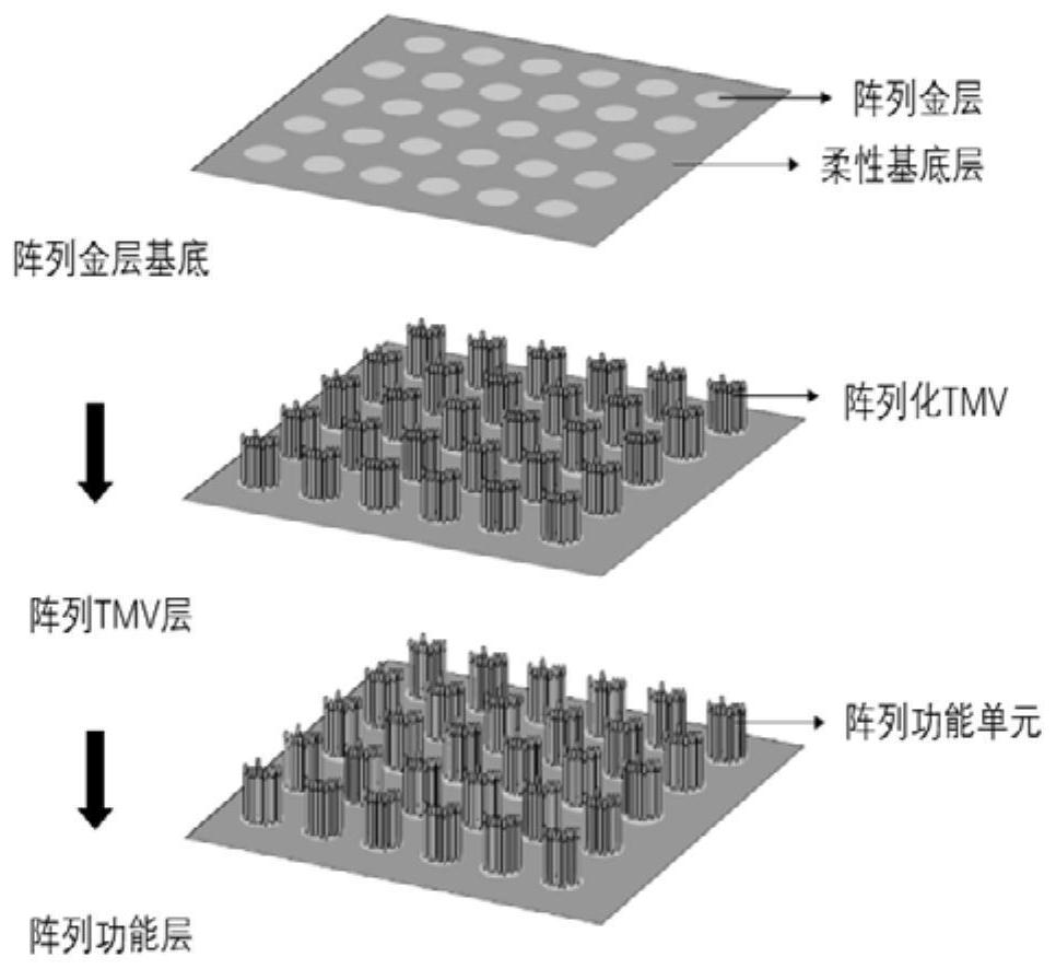 A controllable array preparation method of microsensors using tobacco mosaic virus as a template