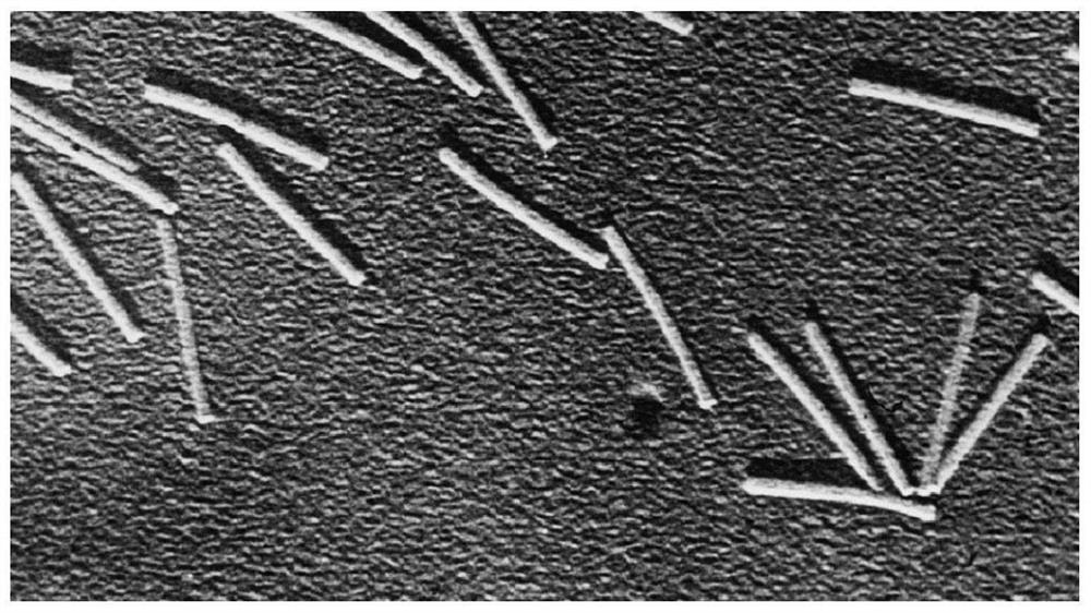 A controllable array preparation method of microsensors using tobacco mosaic virus as a template