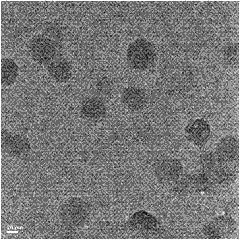Melanin/Ce6 photodynamic nano tumor drug capable of improving light absorption as well as preparation and application of melanin/Ce6 photodynamic nano tumor drug