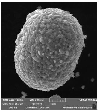 A hydrothermal lithium supplementation-spray remodeling regeneration method for waste ternary cathode materials