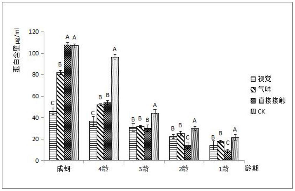 Method for verifying influence of Orius sauteri Poppius on activity of endogenous substances in soybean aphid bodies under stress