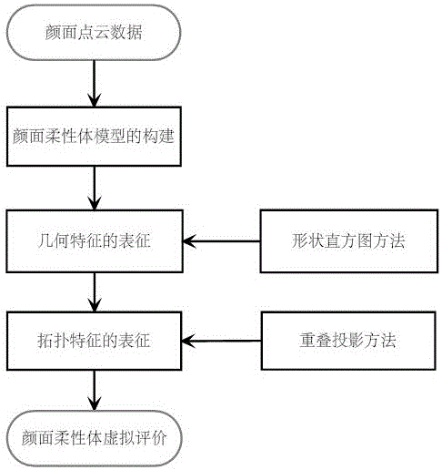 Face-flexible-body virtual evaluation method fusing shape characteristic and topology characteristic