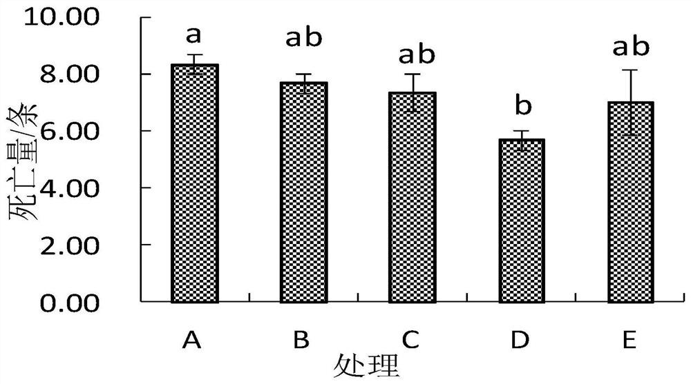 Juncao Ganoderma lucidum and chaff mixed feed for feeding Tenebrio molitor adults and preparation method thereof