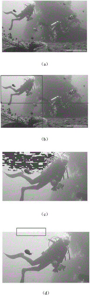 Optimization color correction and regression model-based underwater image restoration method